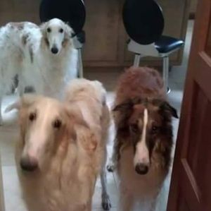 Meet your Posher, Caroline